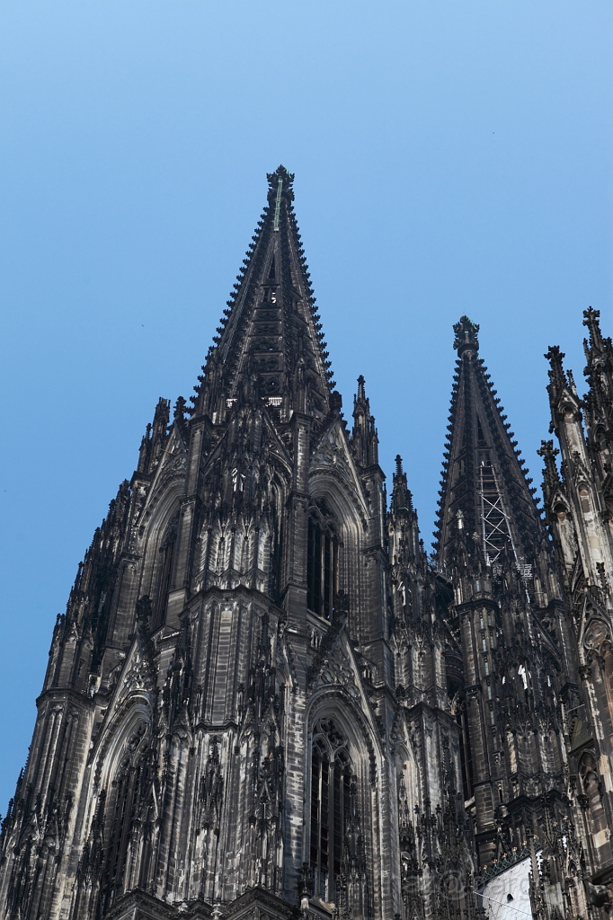 EOS 5D Mark II08_06_20148365.JPG